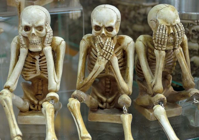 A group of human skeletons Description automatically generated with medium confidence